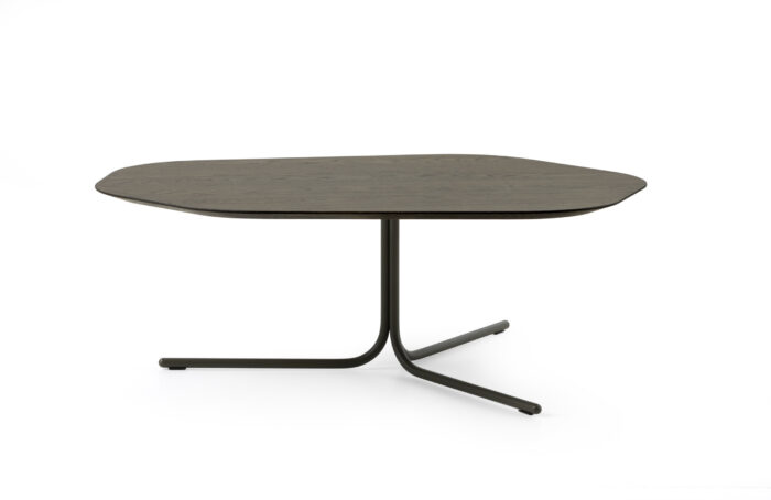 Canopy - Image 2