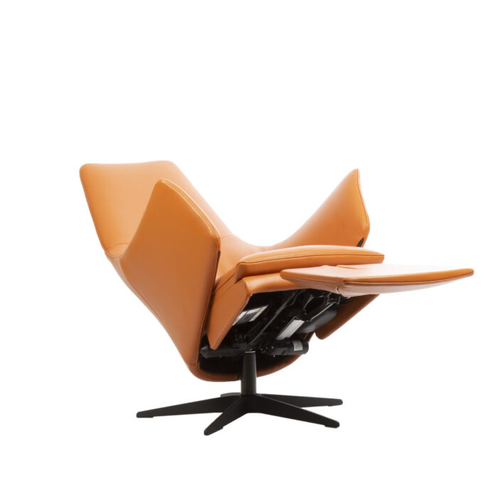 Alea - Image 3